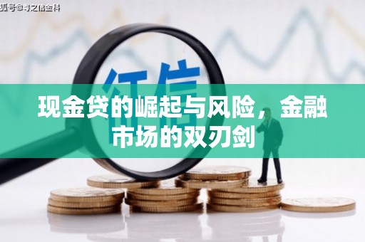 阜康现金贷的崛起与风险，金融市场的双刃剑
