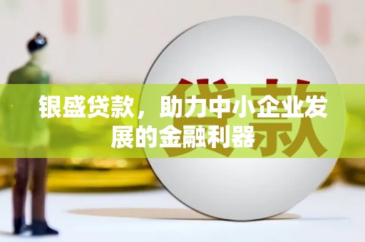 阜康银盛贷款，助力中小企业发展的金融利器