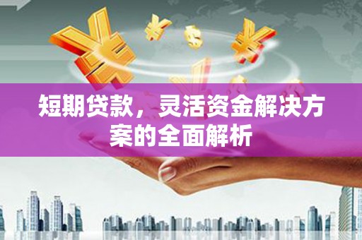 阜康短期贷款，灵活资金解决方案的全面解析