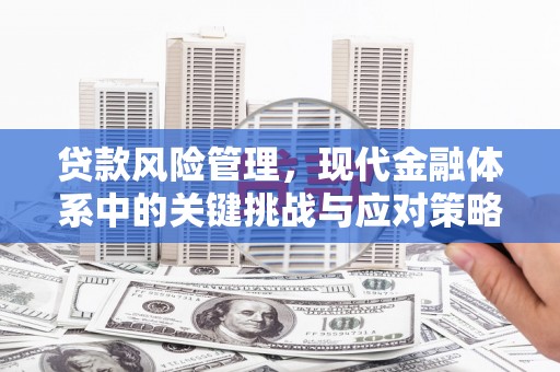 阜康贷款风险管理，现代金融体系中的关键挑战与应对策略