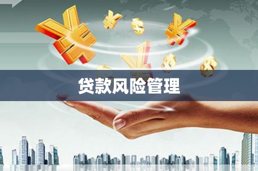 阜康贷款风险管理