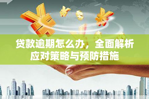 阜康贷款逾期怎么办，全面解析应对策略与预防措施