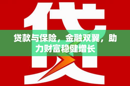 阜康贷款与保险，金融双翼，助力财富稳健增长