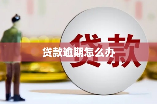 阜康贷款逾期怎么办