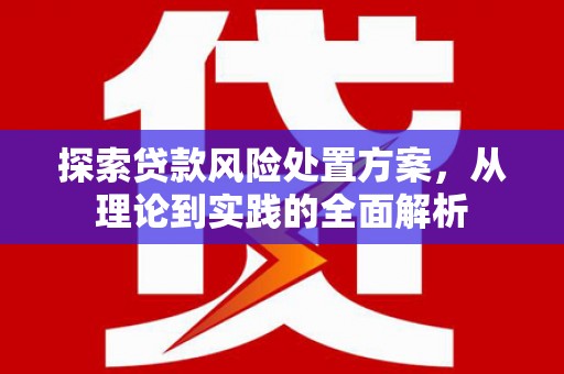 阜康探索贷款风险处置方案，从理论到实践的全面解析