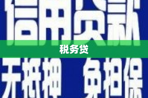 阜康税务贷