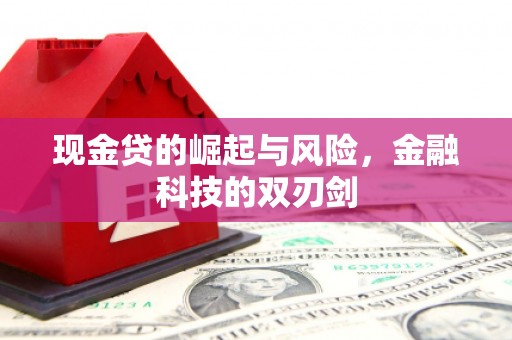 阜康现金贷的崛起与风险，金融科技的双刃剑