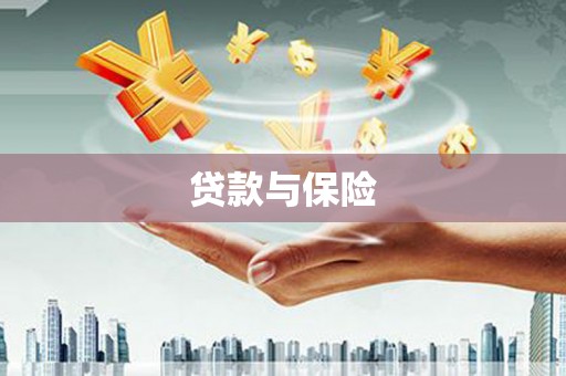 阜康贷款与保险