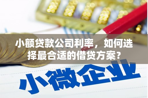 阜康小额贷款公司利率，如何选择最合适的借贷方案？