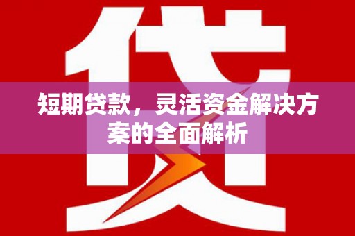 阜康短期贷款，灵活资金解决方案的全面解析