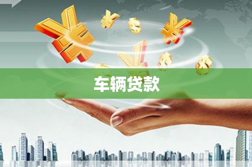 阜康车辆贷款