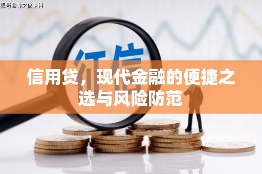 阜康信用贷，现代金融的便捷之选与风险防范