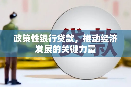 阜康政策性银行贷款，推动经济发展的关键力量