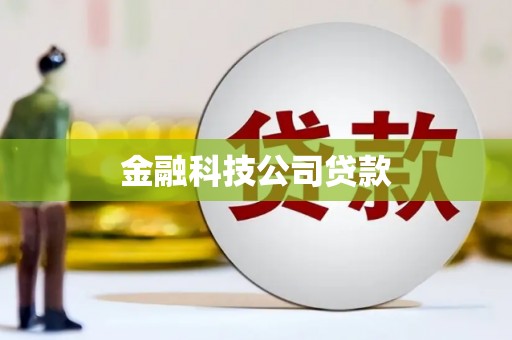 阜康金融科技公司贷款