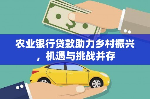 阜康农业银行贷款助力乡村振兴，机遇与挑战并存