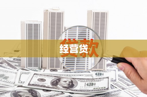阜康经营贷