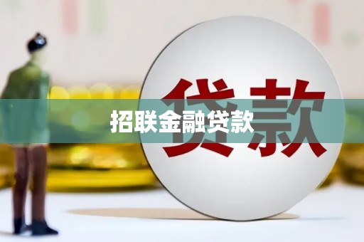 阜康招联金融贷款