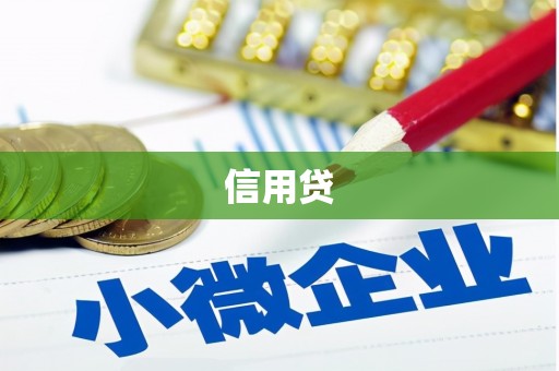 阜康信用贷