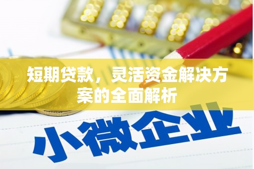 阜康短期贷款，灵活资金解决方案的全面解析