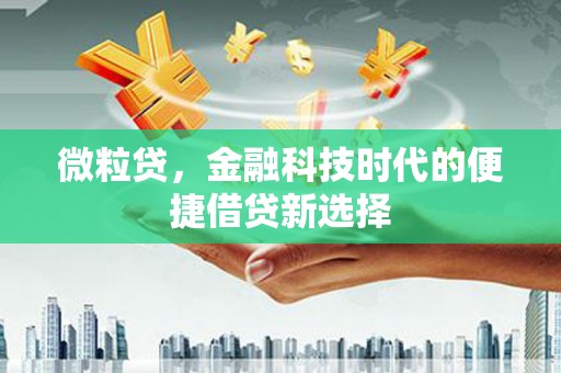 阜康微粒贷，金融科技时代的便捷借贷新选择