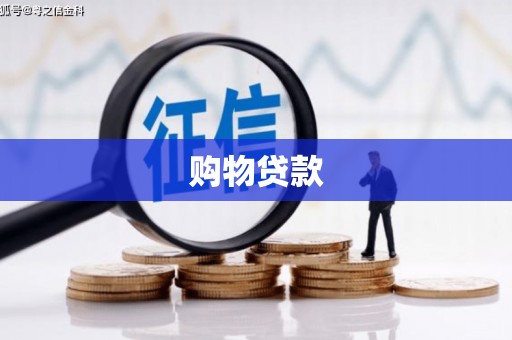 阜康购物贷款