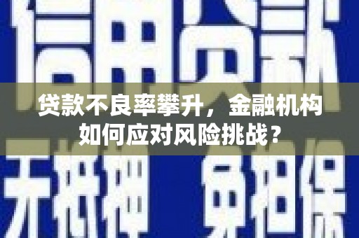 阜康贷款不良率攀升，金融机构如何应对风险挑战？