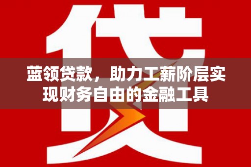 阜康蓝领贷款，助力工薪阶层实现财务自由的金融工具