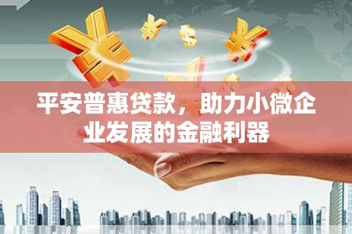 阜康平安普惠贷款，助力小微企业发展的金融利器
