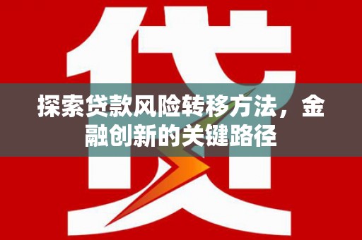 阜康探索贷款风险转移方法，金融创新的关键路径