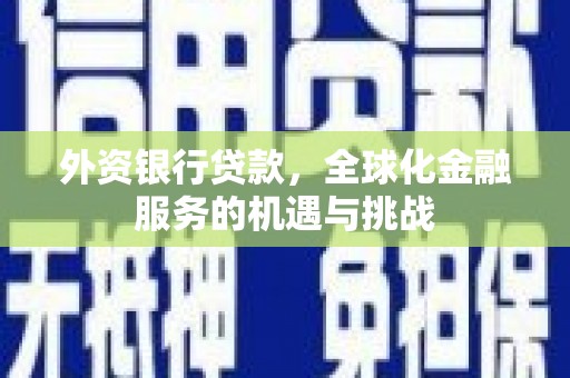 阜康外资银行贷款，全球化金融服务的机遇与挑战