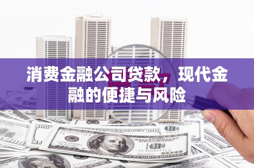 阜康消费金融公司贷款，现代金融的便捷与风险