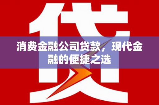 阜康消费金融公司贷款，现代金融的便捷之选