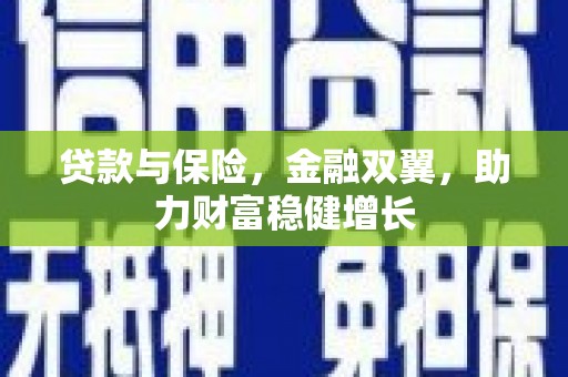 阜康贷款与保险，金融双翼，助力财富稳健增长