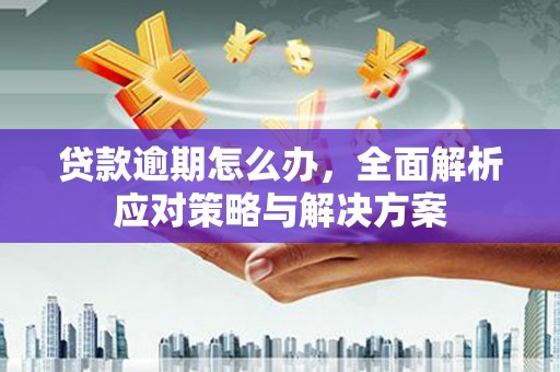 阜康贷款逾期怎么办，全面解析应对策略与解决方案