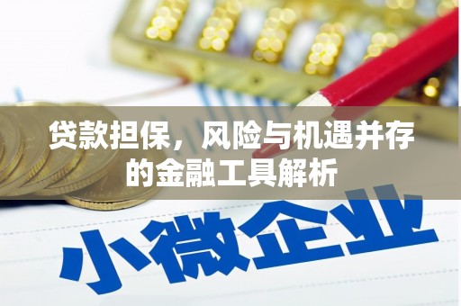阜康贷款担保，风险与机遇并存的金融工具解析