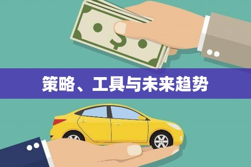 阜康策略、工具与未来趋势