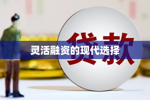 阜康灵活融资的现代选择