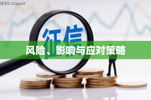 阜康风险、影响与应对策略