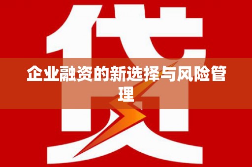 阜康企业融资的新选择与风险管理