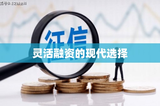 阜康灵活融资的现代选择