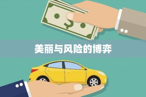 阜康美丽与风险的博弈