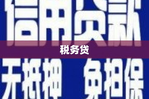 阜康税务贷