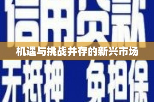 阜康机遇与挑战并存的新兴市场
