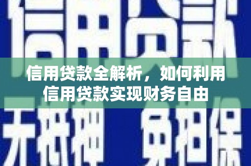 阜康信用贷款全解析，如何利用信用贷款实现财务自由