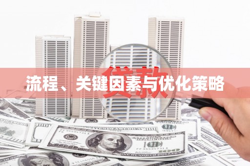 阜康流程、关键因素与优化策略