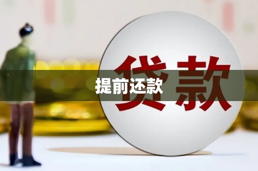 阜康提前还款