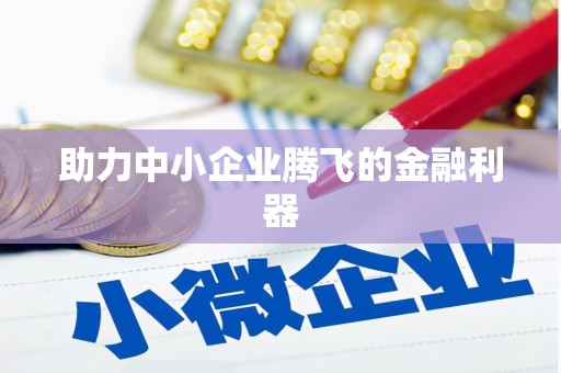 阜康助力中小企业腾飞的金融利器