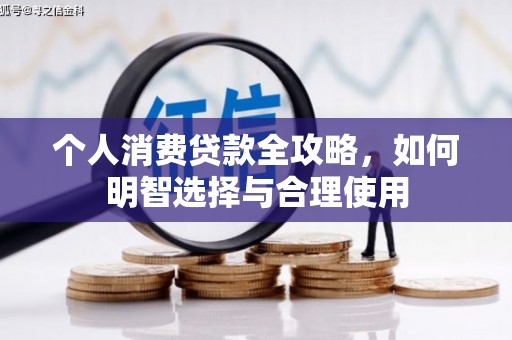 阜康个人消费贷款全攻略，如何明智选择与合理使用