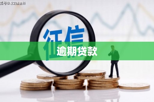阜康逾期贷款