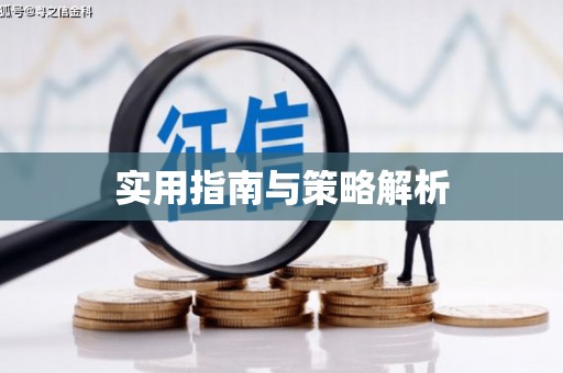 阜康实用指南与策略解析